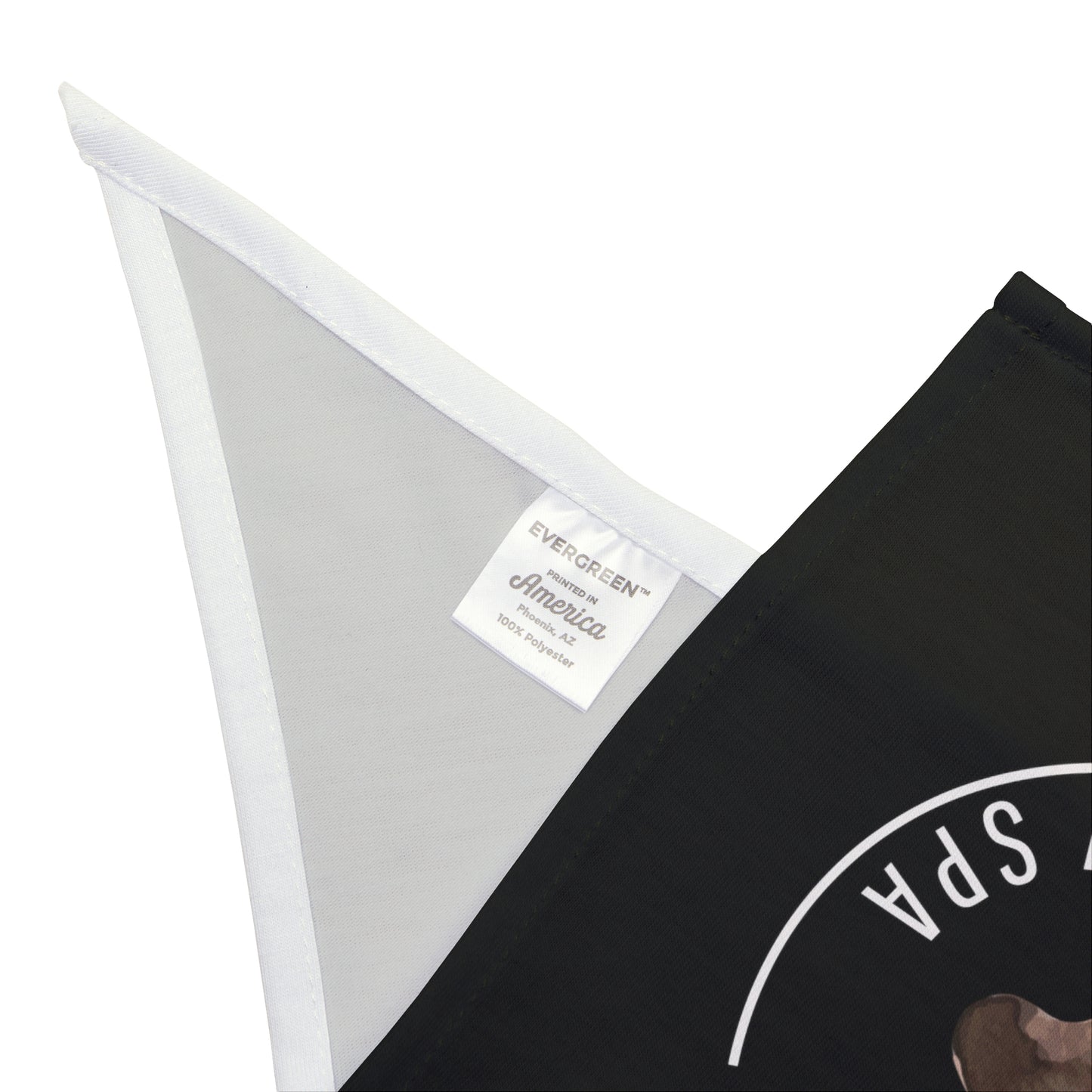 Perkins Paw Bandana (2)