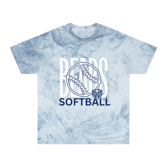 Bears Softball T-Shirt | Comfort Colors | JULY TOP SELLER