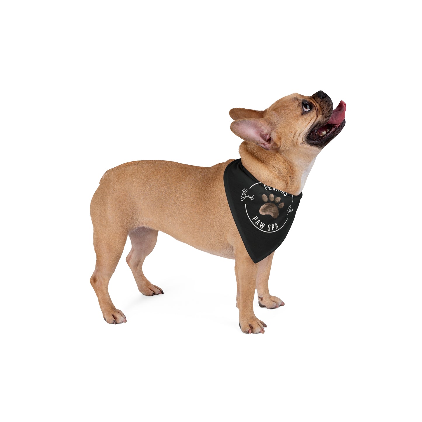 Perkins Paw Bandana (2)