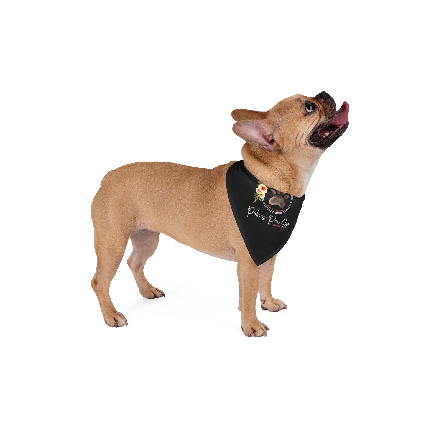 Perkins Paw Bandana