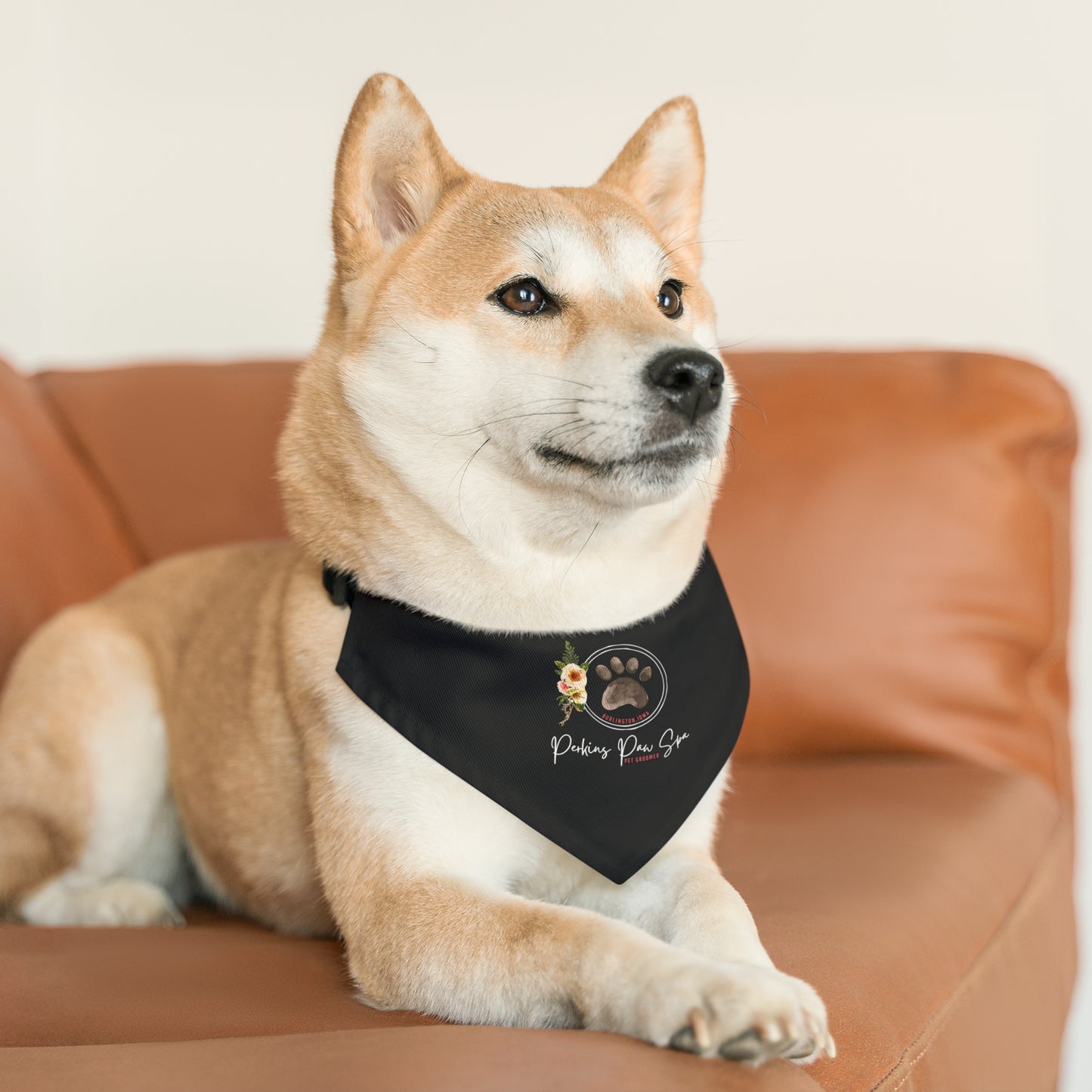 Perkins Paw Bandana Collar