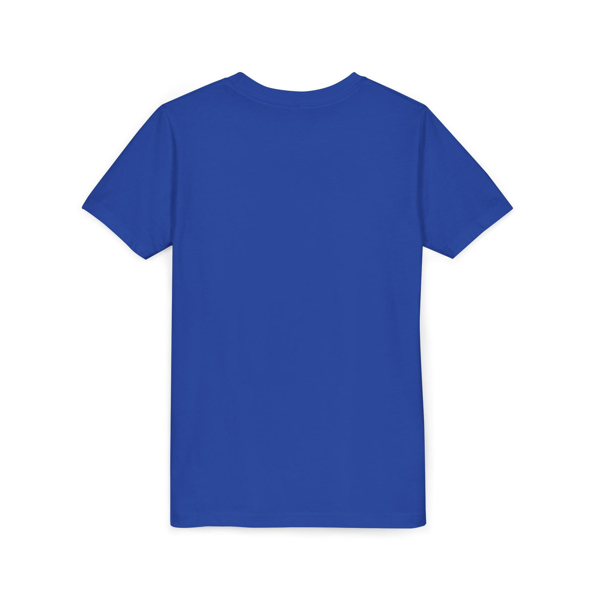 Danville Bears | Retro Icons | Youth Tee | Bella Canvas