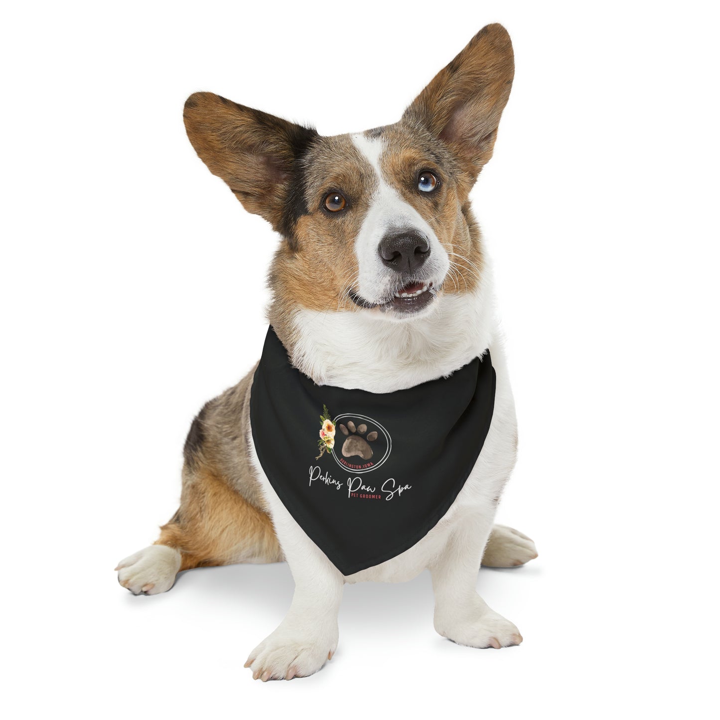 Perkins Paw Bandana Collar