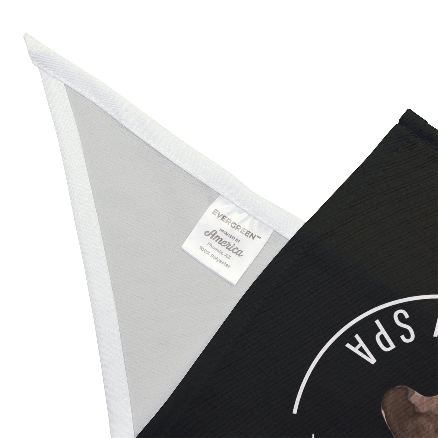 Perkins Paw Bandana (2)