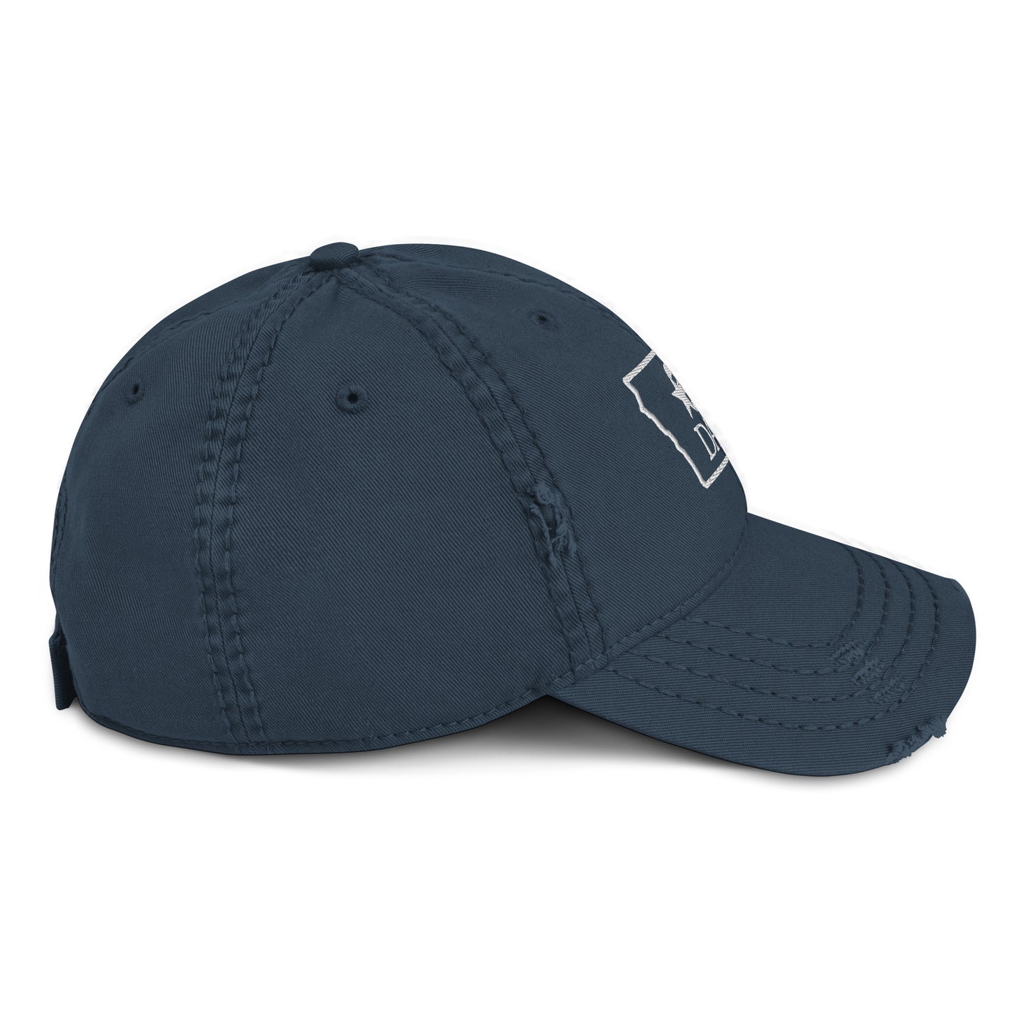 DAR π Distressed Hat