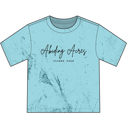 Abiding Acres FF YOUTH Colorblast T‑Shirt | Comfort Colors