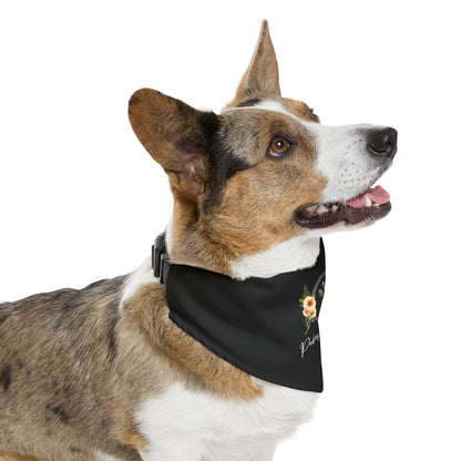 Perkins Paw Bandana Collar