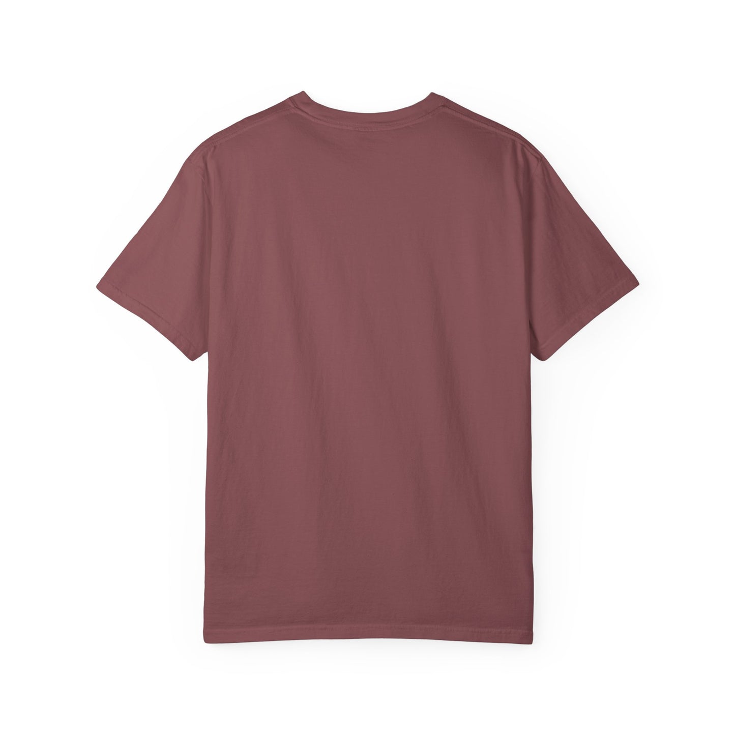 USA Unisex Garment-Dyed T-Shirt