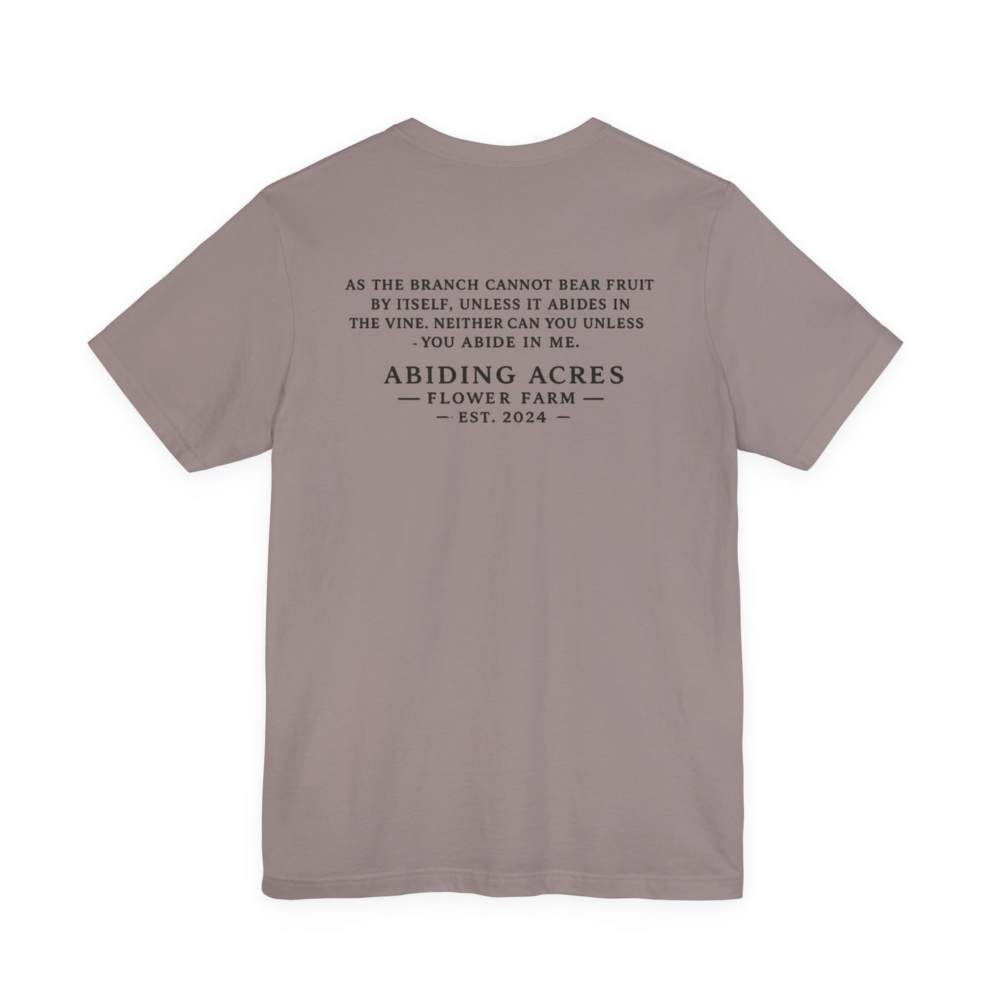 Abide in Me ADULT Tee | Bella Canvas