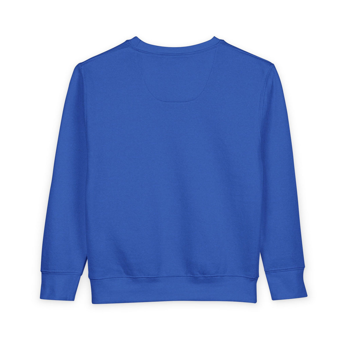 Toddler Sweatshirt — Danville Bears Youth Crewneck | School Mascot Kids Sweatshirt