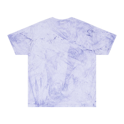 Abiding Acres FF ADULT Colorblast Tee | Comfort Colors