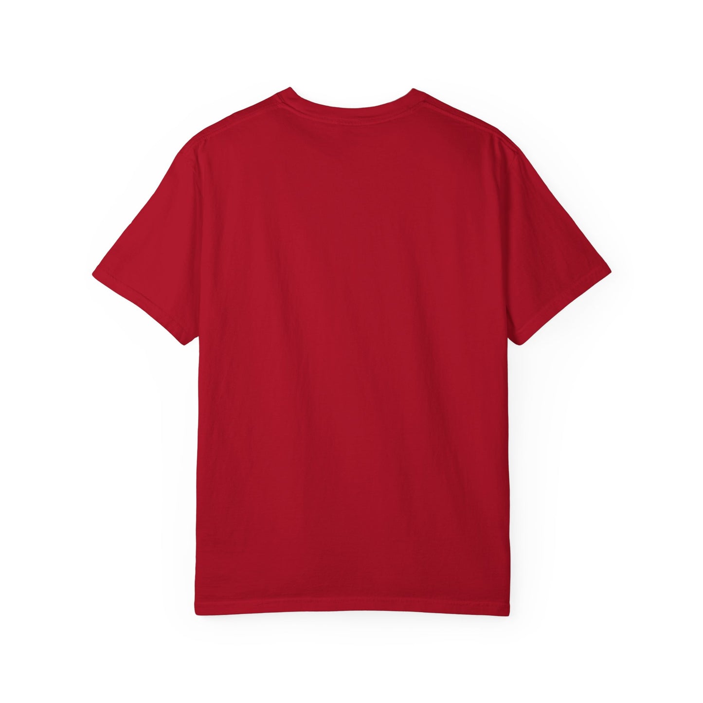 USA Unisex Garment-Dyed T-Shirt