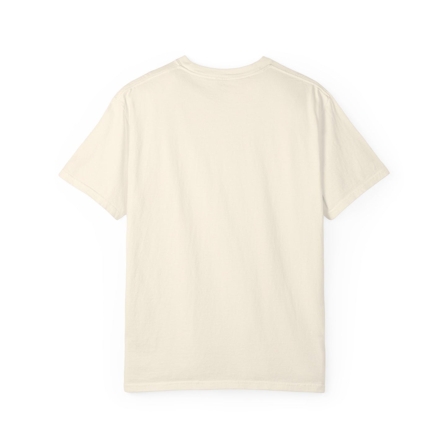 USA Unisex Garment-Dyed T-Shirt