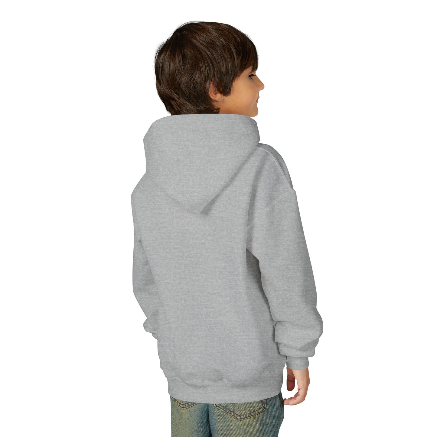 Danville Bears | Retro Icons | Youth Hoodie | Gildan Heavy Cotton