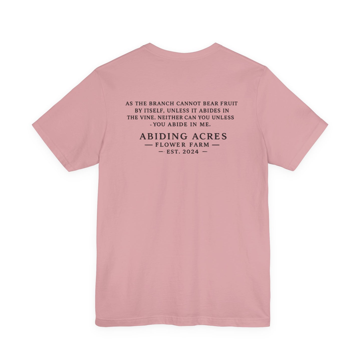 Abide in Me ADULT Tee | Bella Canvas