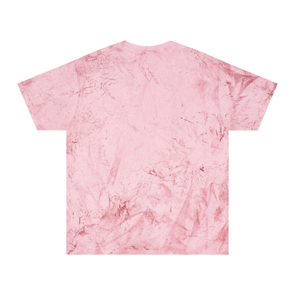 Abiding Acres FF ADULT Colorblast Tee | Comfort Colors