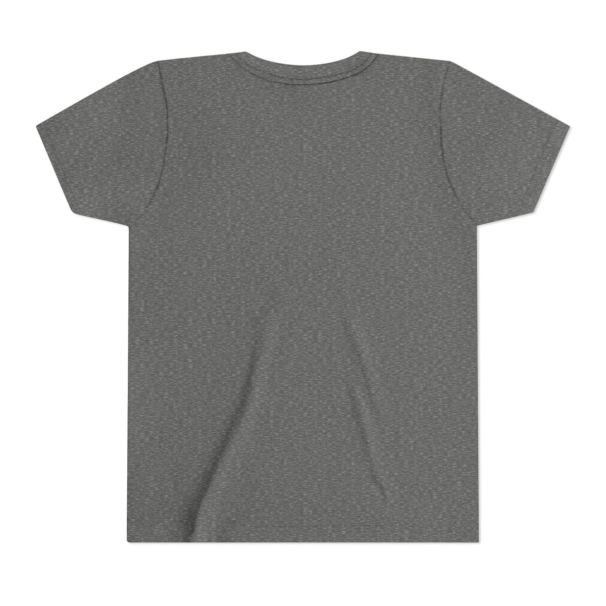 Danville Bears | Bear Future Cheerleader | Youth Tee | Bella Canvas