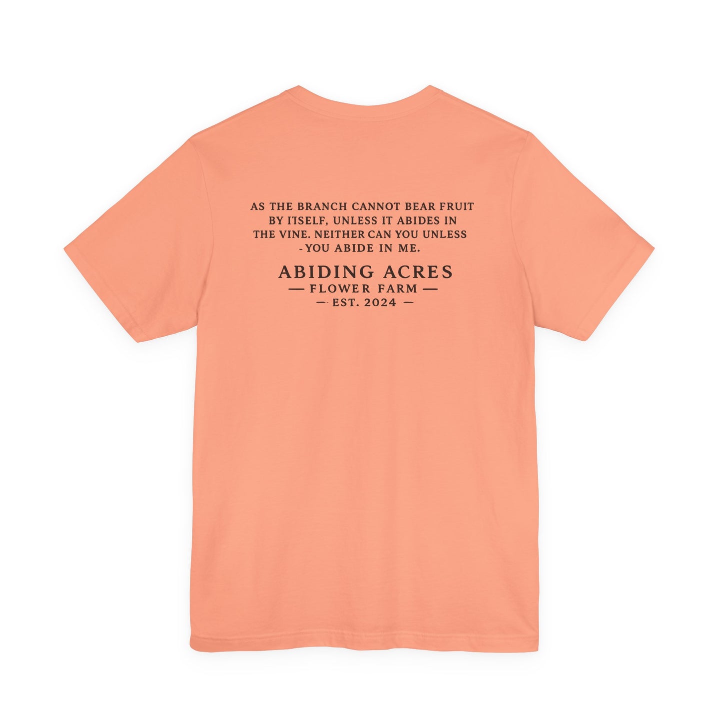 Abide in Me ADULT Tee | Bella Canvas