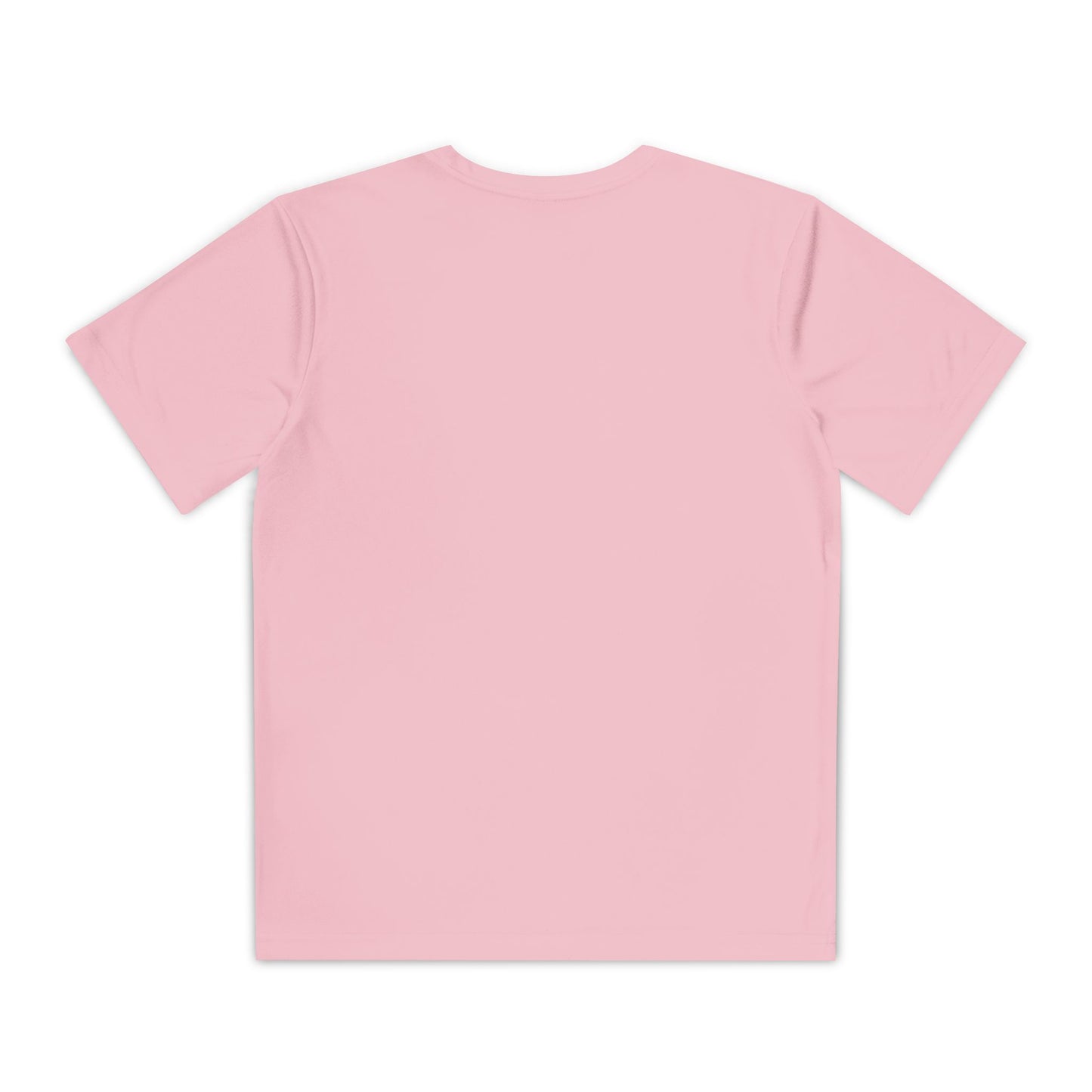 Danville Bears Stripe Tee