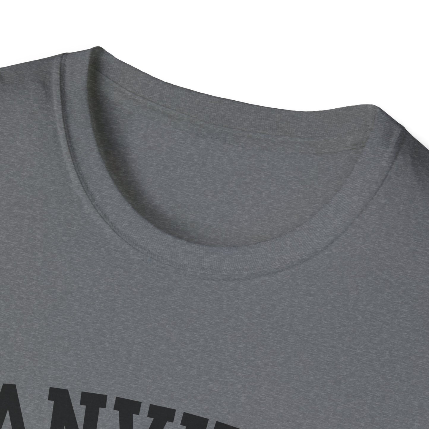 Danville Bears Stripe T-Shirt | GILDAN SOFTSTLYE
