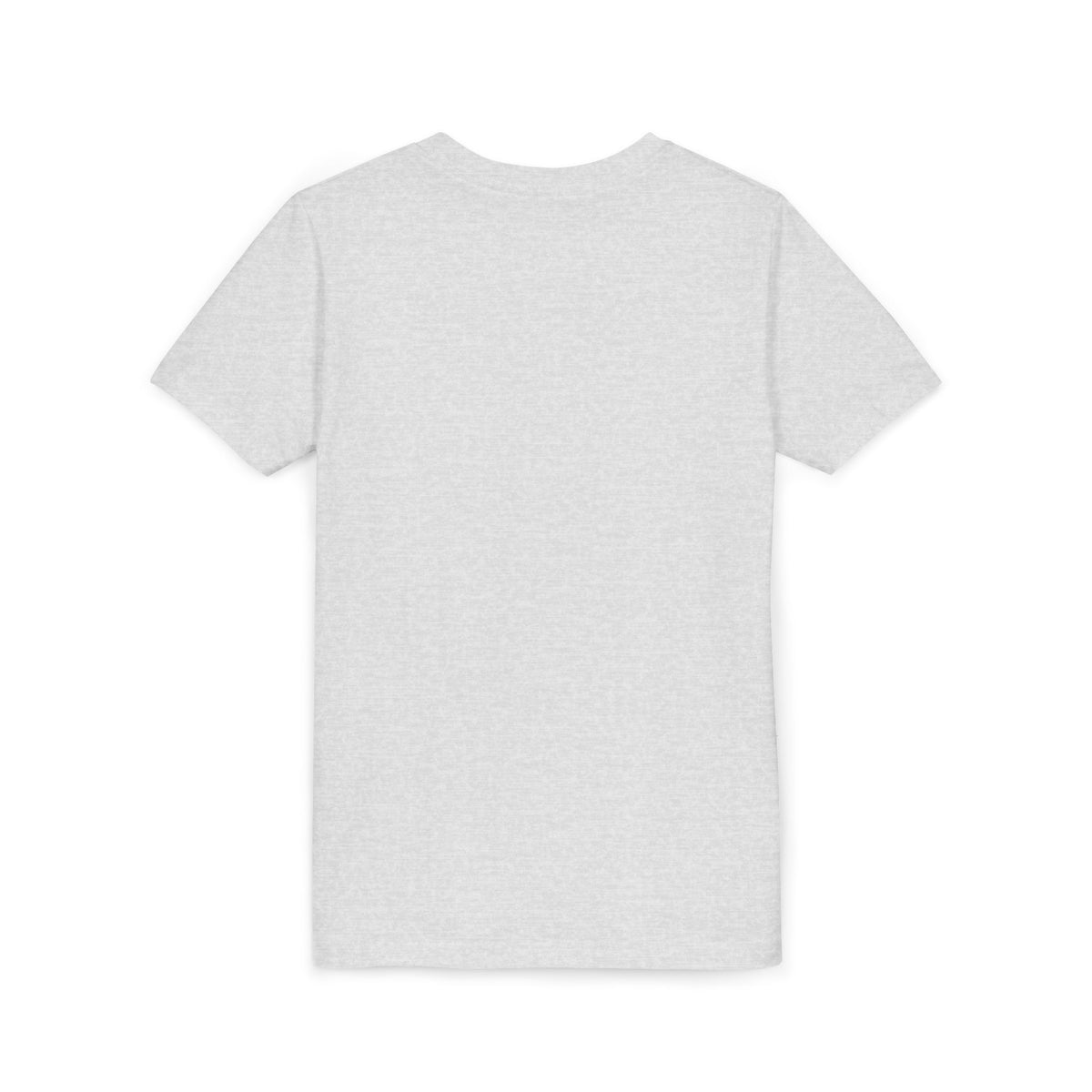 Danville Bears | Retro Icons | Youth Tee | Bella Canvas