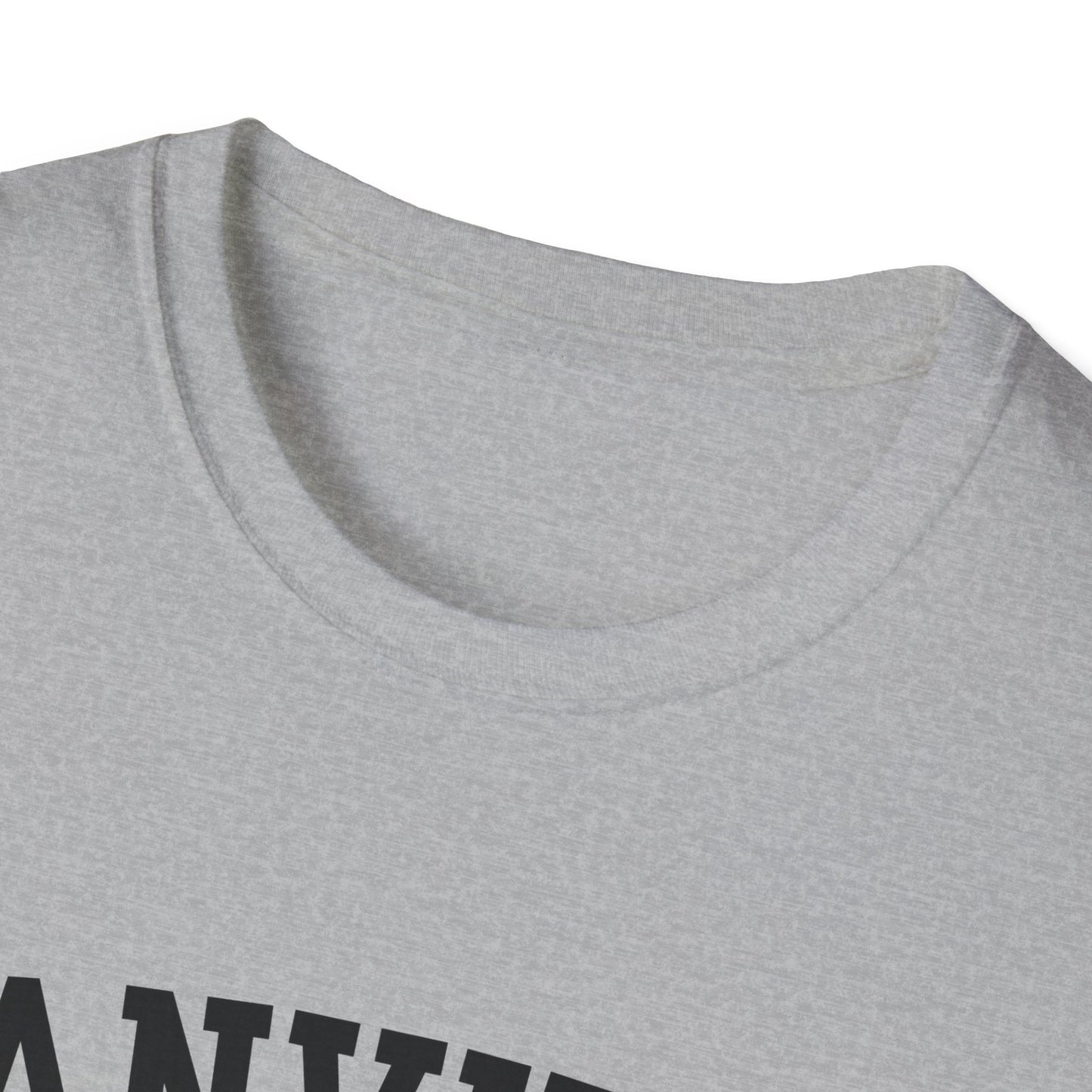 Danville Bears Stripe T-Shirt | GILDAN SOFTSTLYE