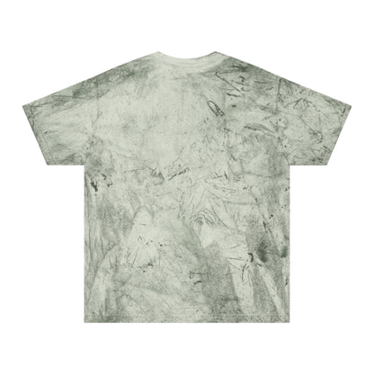 Abiding Acres FF ADULT Colorblast Tee | Comfort Colors