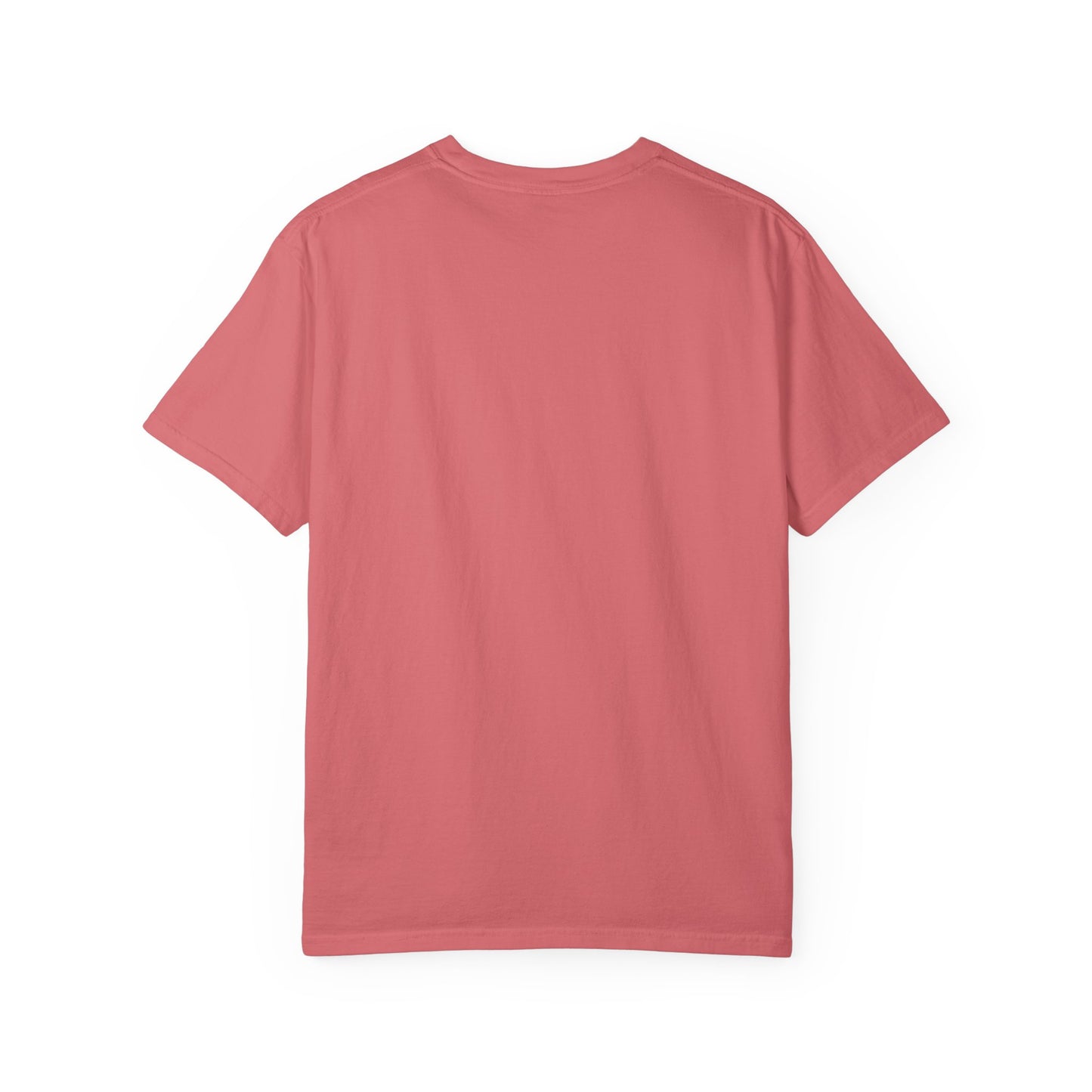 USA Unisex Garment-Dyed T-Shirt