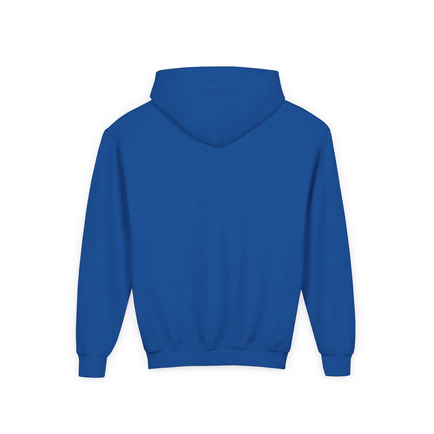 Danville Bears | Bear Claw | Youth Hoodie| Gildan
