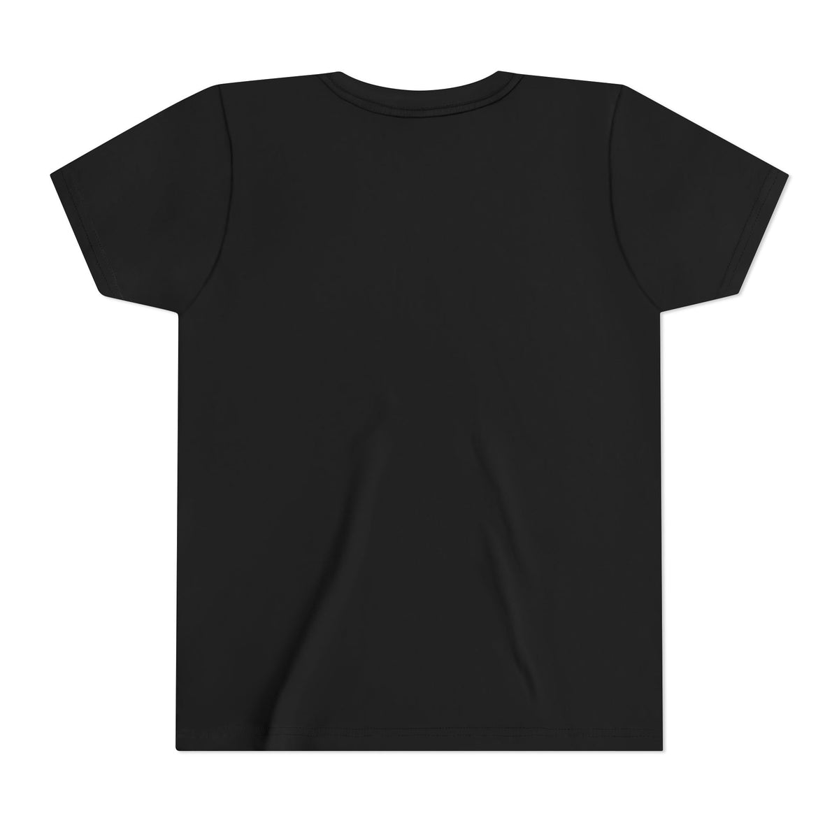 Danville Bears | Bears Burst | Youth Tee | Bella Canvas