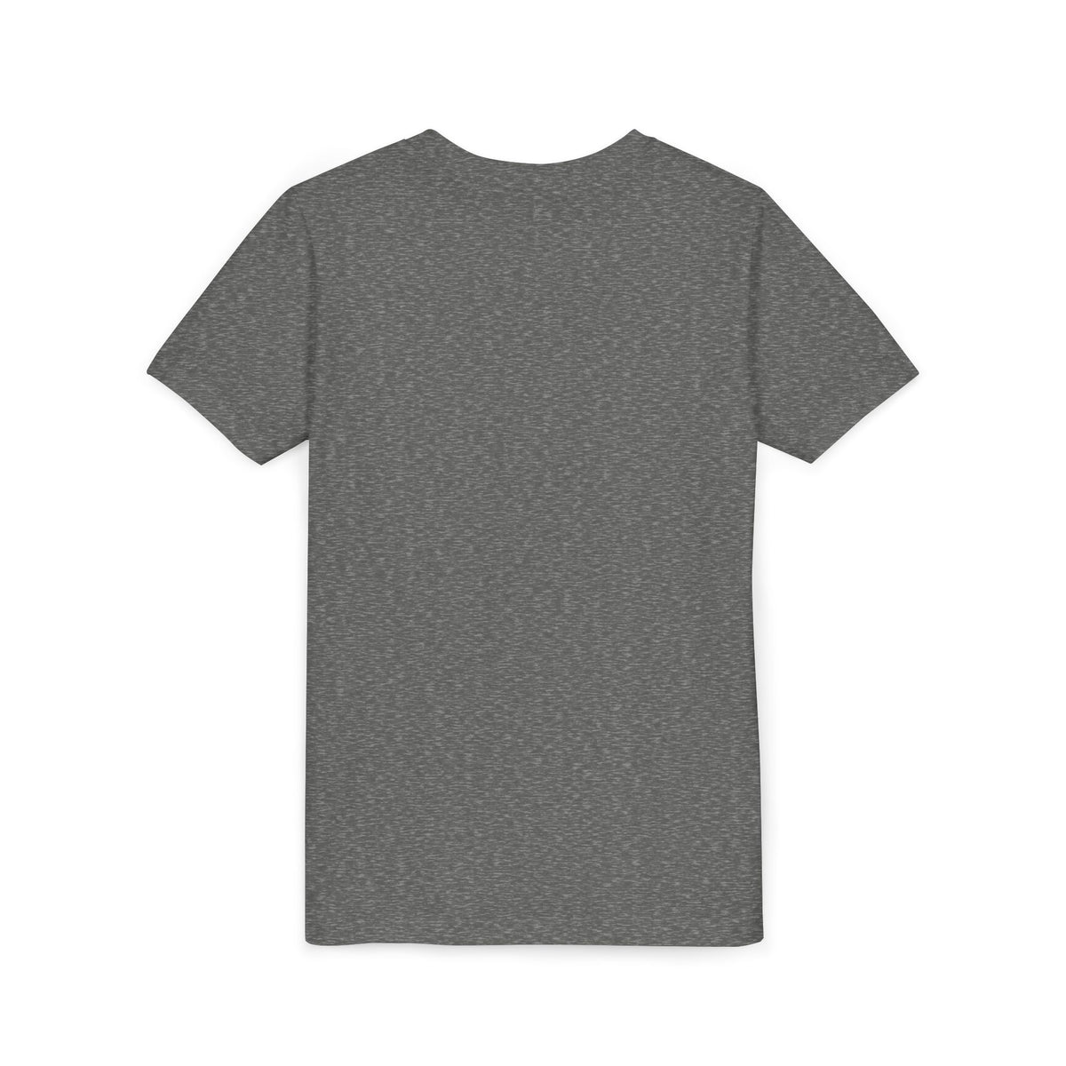 Danville Bears | Bear Future Cheerleader | Youth Tee | Bella Canvas