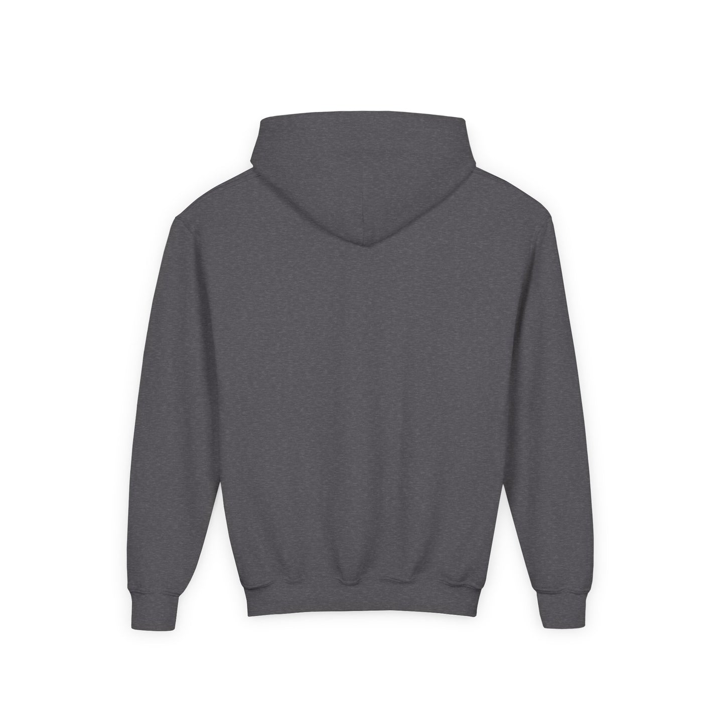 Danville Bears | Bear Claw | Youth Hoodie| Gildan