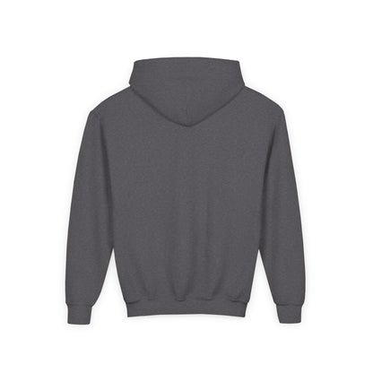Danville Bears | Bear Claw | Youth Hoodie| Gildan