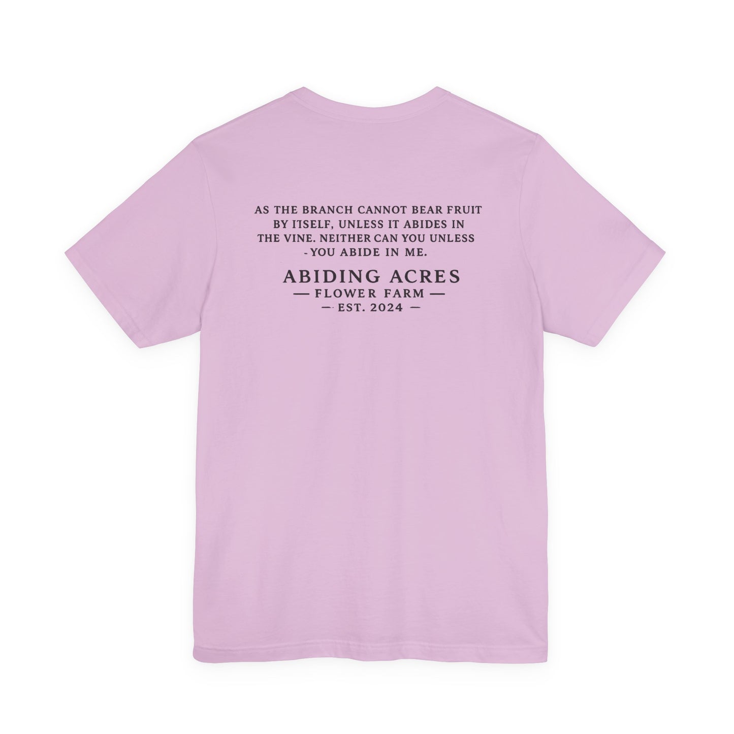 Abide in Me ADULT Tee | Bella Canvas