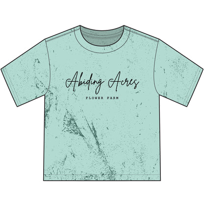 Abiding Acres FF YOUTH Colorblast T‑Shirt | Comfort Colors