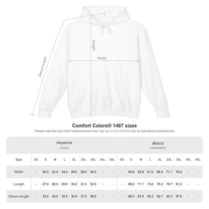 Brighter Balance | Adult Hoodie | Comfort Colors