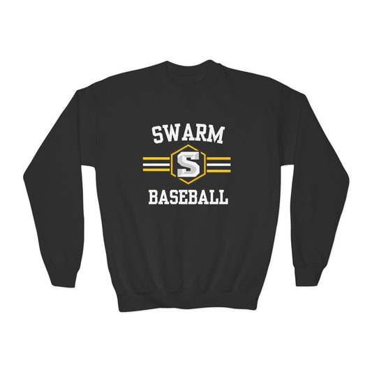 Swarm "stripe" YOUTH Baseball Crewneck | Gildan Heavy Duty