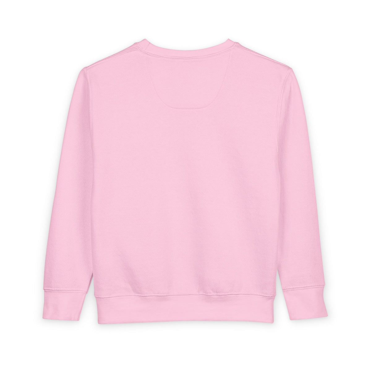WB Falcons | Falcon Stripe | Toddler Crewneck | Rabbit Skins